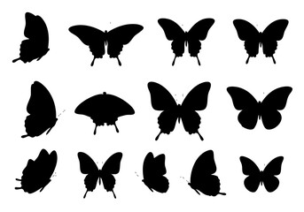 Silhouette Various Black Butterfly Flying Insect Wildlife Isolated on White