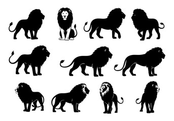 Black Silhouette Detailed Lion King Animal Head Body Shape Set