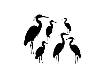 Detailed Silhouette Heron Bird Standing and Flying in Group Illustration