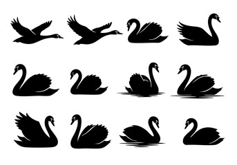 Minimalist Black Silhouette Swan Bird Poses in Different Stages Collection