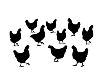 Silhouette Group of Hens Farm Animal Poultry Domestic Livestock