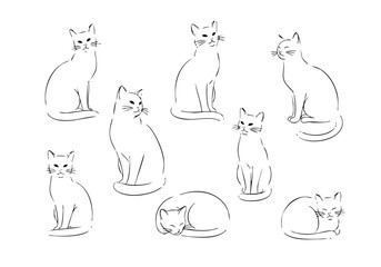 Minimalist Line Art Various Poses Domestic Cat Pet Illustration