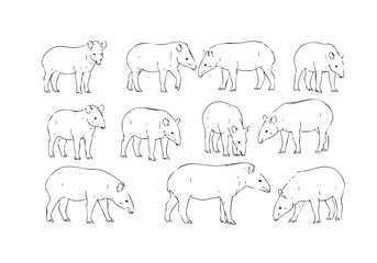 Dotted Line Style Tapir Silhouettes Cute Illustration Animal