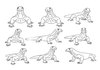 Handdrawn Various Pose Komodo Dragon Illustration Line Art Collection