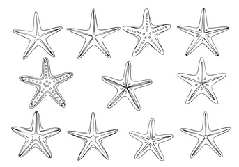 Handdrawn Artistic Starfish Variety Simple Doodle Line Art Illustration