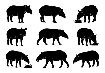 Silhouette Detailed Tapir Mammal Animal Graphic Design Element Illustration