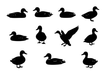 Simple Silhouette Duck Wildlife Bird Animal Illustration Graphic Elements
