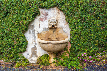 Park of Quinta das Cruzes Museum in Funchal, Madeira, Portugal