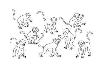 Lineart Group Monkey Mammal Wildlife Animal Line Drawing Illustration