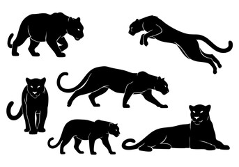 Silhouette Diverse Panther Mammal Wild Animal Illustration Poses Isolated on White