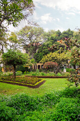 View of Municipal Garden after rain in Funchal, Madeira, Portugal