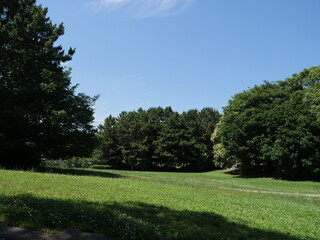 葛西臨海公園の風景