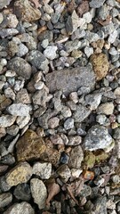 A detailed close-up of assorted gravel and small rocks scattered on earthy ground, useful for textures, backgrounds, or construction-related visuals