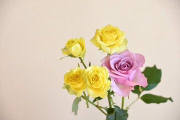 黄色と紫のばら