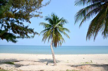 Obraz premium Thung Wua Laen Beach