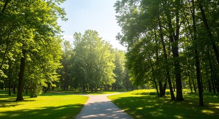 Obraz premium Shady Park Path on a Sunny Day A Serene Outdoor Landscape