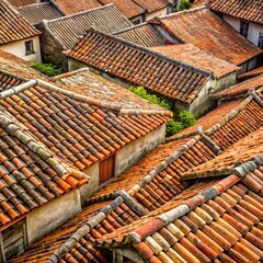 roof of the old house