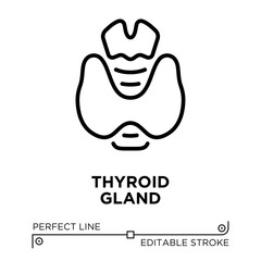 The line icon vector illustrates the butterfly shaped endocrine gland located at the front of the neck. The line icon is isolated on a transparent background and can be edited as needed