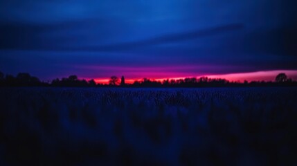 Obraz premium Twilight over a field. Dark silhouettes of plants and a colorful sunrise on the horizon.