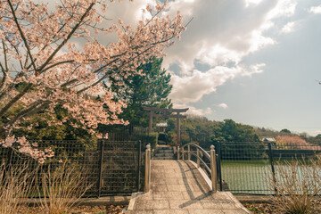 Kumadaniji Temple, the 8th stop on the Shikoku Pilgrimage in Tokushima, Japan - may 2 2025