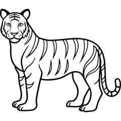 Fototapeta premium tiger vector illustration design on white background