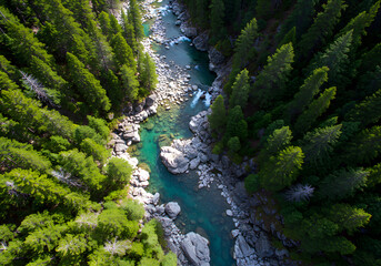 Aerial view of turquoise river through forest