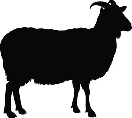 Sheep silhouette vector, farm animal icon, black and white livestock illustration, wool animal outline, minimal sheep drawing