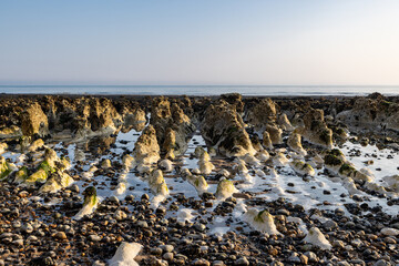 Low tide at the beach, at Peacehaven in Sussex