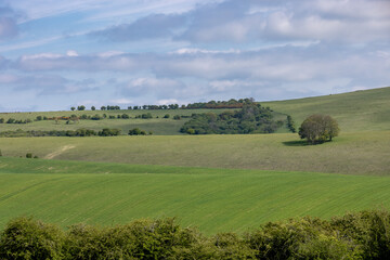 A view of Sussex farmland near Ditchling Beacon, on a sunny spring day