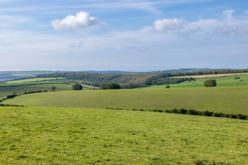 A view over green hills and fields near Ditchling Beacon, on a sunny spring day