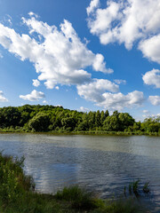A body of water surrounded by trees and clouds
