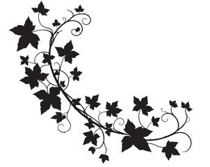 ivy vine silhouette, elegant decorative border and corner design element of leaves vector illustration