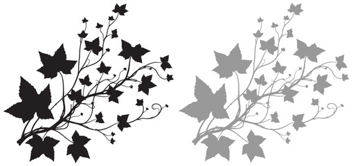 ivy vine silhouette vector set, elegant black floral decorative border or corner design, isolated on white background vector