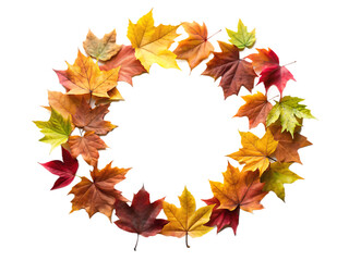 Autumn maple leaves arranged in a circular frame with vibrant fall colors isolated on a transparent background