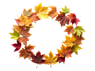 Autumn maple leaves arranged in a circular frame with vibrant fall colors isolated on a transparent background