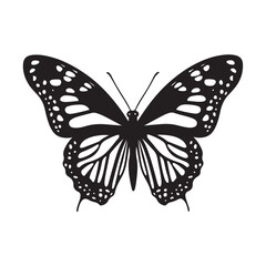 Fototapeta premium Monarch Butterfly silhouette, butterfly vector illustration, Elegant Butterfly Silhouette Icon for Design Projects, Creative black and white vector art.