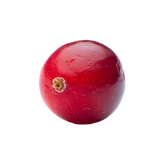 A single glossy red cranberry with a round shape and smooth skin reflecting light positioned in the center of the frame against a pure white background