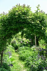 Romantic view of green garden 