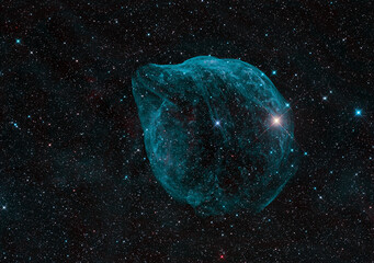 Dolphin-Head Nebula
