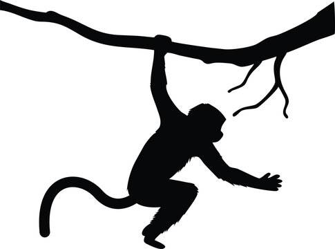 Black silhouette of a monkey hanging from a tree branch against a white background