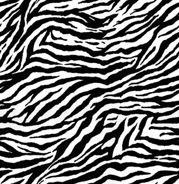 zebra pattern animal skin, black and white seamless abstract texture 