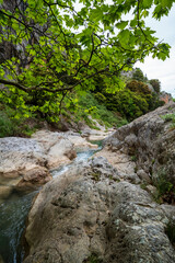 Leafy cascade within Saint Luke Gorge Greece