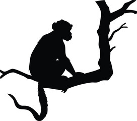 Silhouette of a monkey perched on a tree branch in a minimalistic artistic illustration.