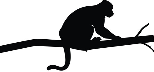 Silhouette of a monkey perched on a tree branch isolated against a white background