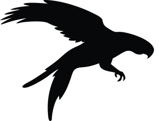 Silhouetted parrot in flight depicting elegance and freedom against a plain white background