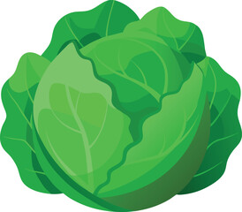 Green cabbage with eco-friendly symbols and globe elements on transparent background