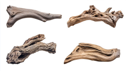 Fototapeta premium Collection of Four Unique Driftwood Pieces Isolated on White Background