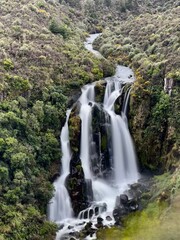 A majestic waterfall cascades with silky smooth water, surrounded by lush green native vegetation in New Zealand's North Island, capturing pristine natural beauty and serenity