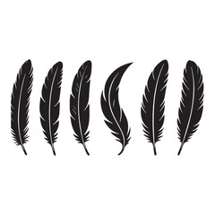 Variety of Feathers Depicted in Black and White Silhouette Style Grouped Horizontally on White Background