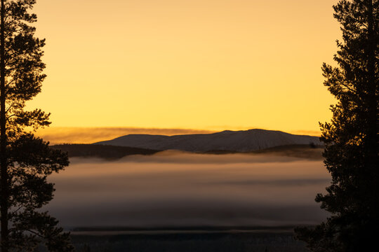 A serene mountain landscape at sunrise, with golden skies illuminating the horizon. A soft blanket of fog drifts over the dark forest below, while the snow-dusted peaks rise in the distance. 